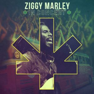 Ziggy Marley In Concert
